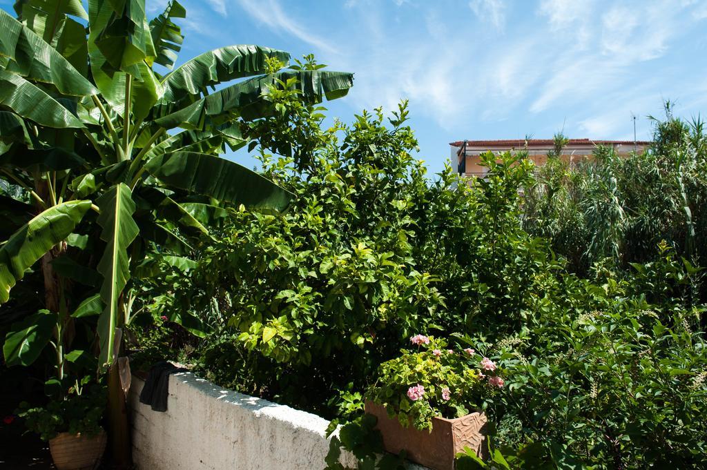 Studios Margarita Petalídhion 外观 照片